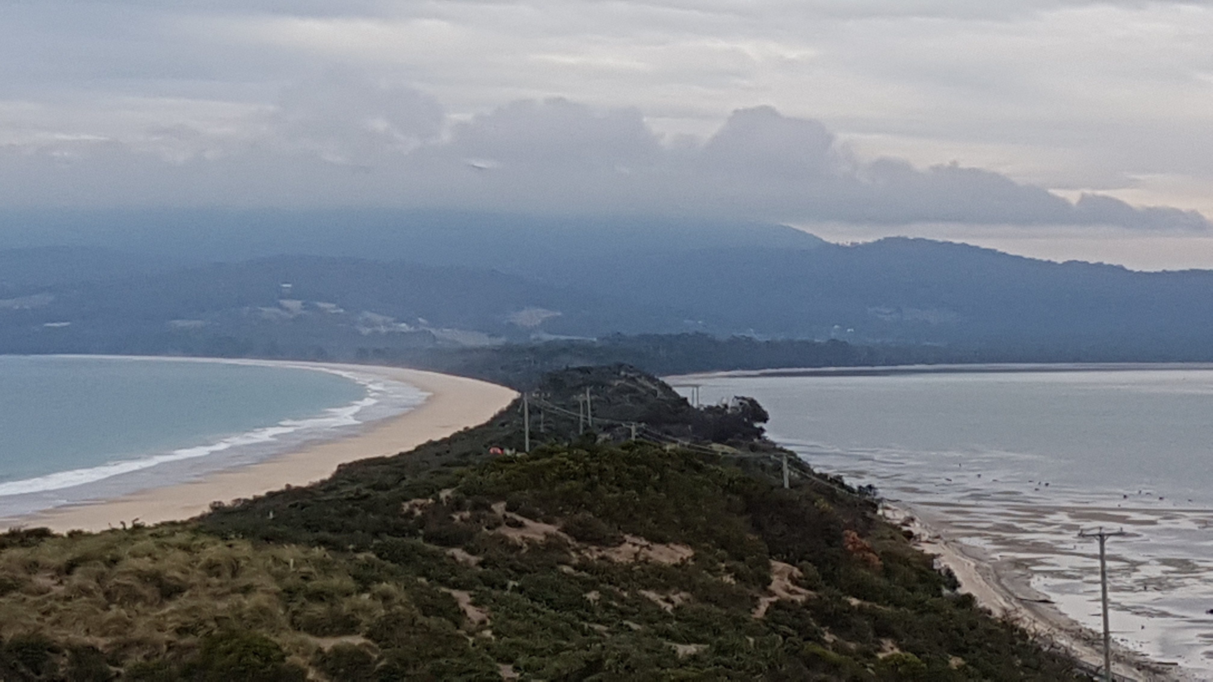 Bruny Island Experience-官方