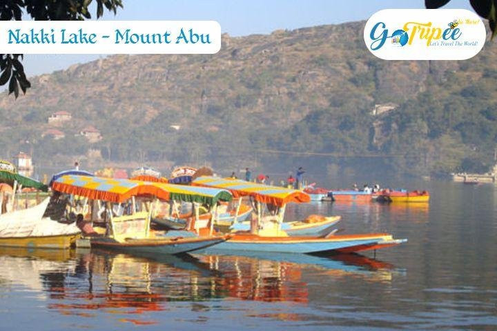 Gotripee Tours - India Private Day Tours景点图片