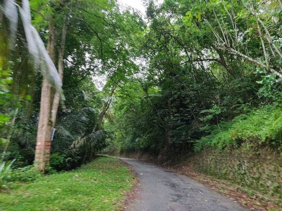 Bukit Kledang-怡保必去景点