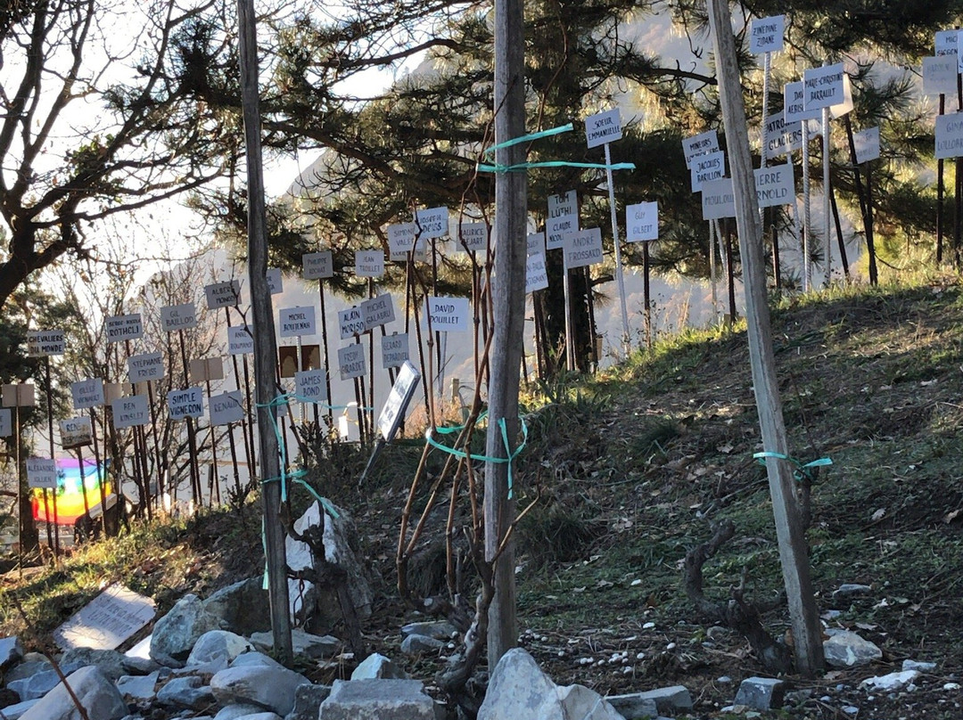 Vigne à Farinet-Saillon必去景点