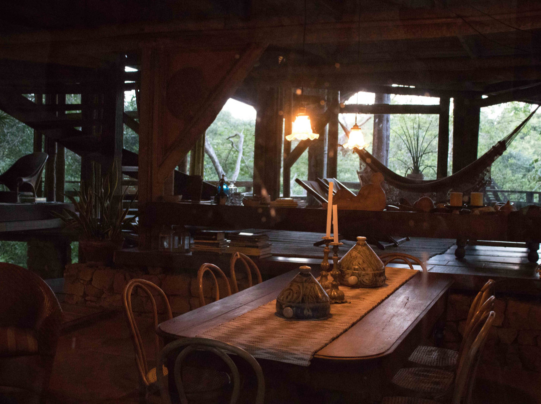 Paraqueira In Natura-Vicosa Do Ceara必去景点