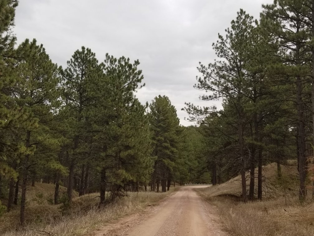 Nebraska National Forest-Halsey必去景点