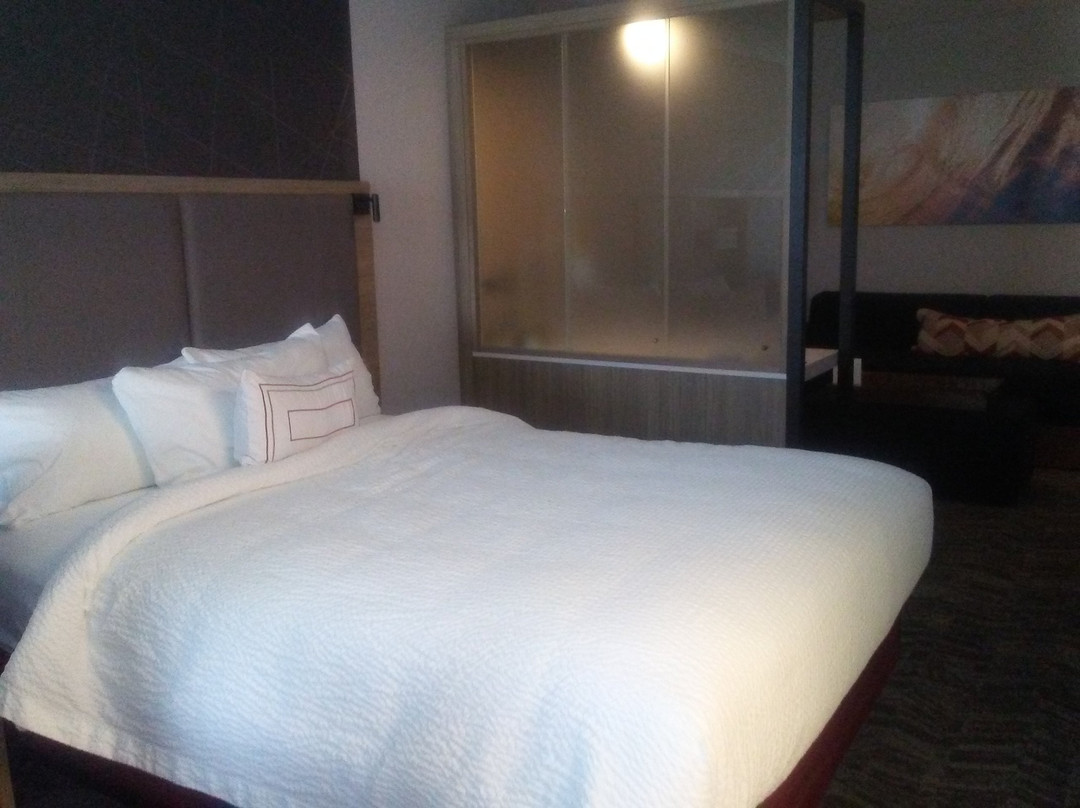 Springhill Suites by Marriott Hampton Portsmouth主图