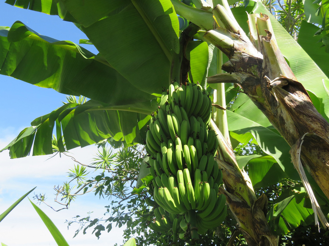 Chambres d'Hotes Nicole Maillot主图