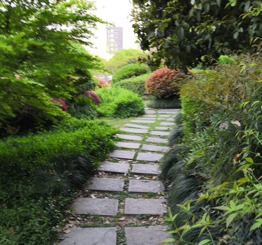 赭山公园-芜湖必去景点