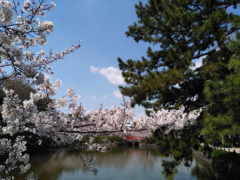 Kijo Park-刈谷市必去景点