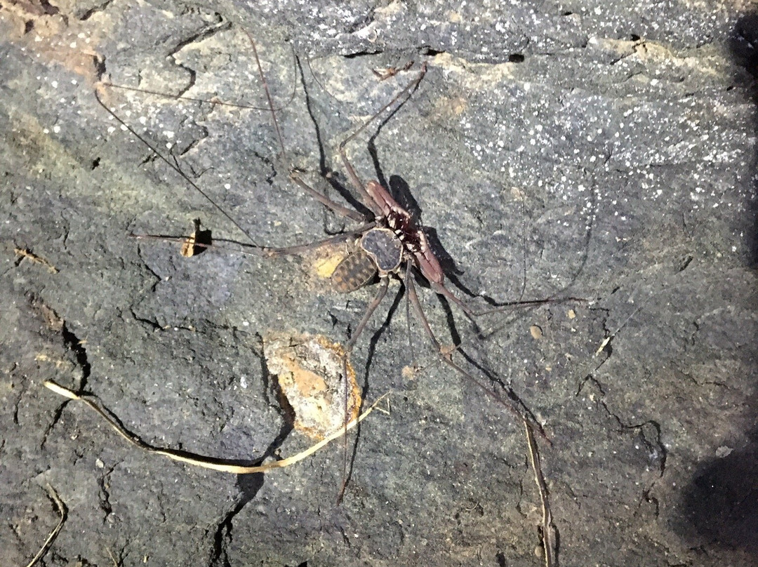 Caja de Agua-Paicol必去景点