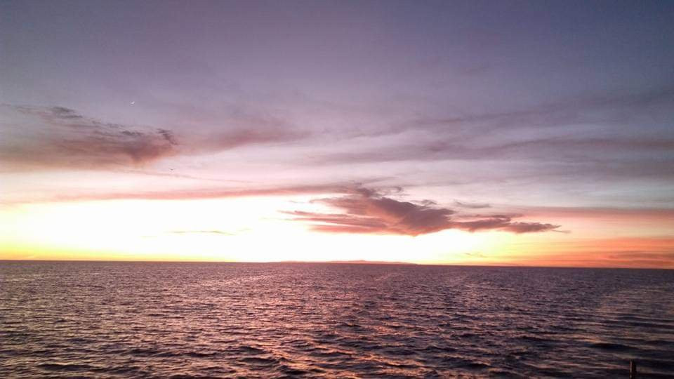 Isla San Jorge-佩纳斯科港必去景点