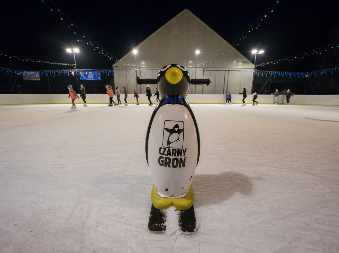 Czarny Groń Ice Skating Rink景点图片