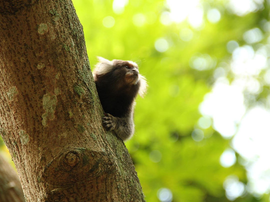 bikeriowithus-里约热内卢必去景点