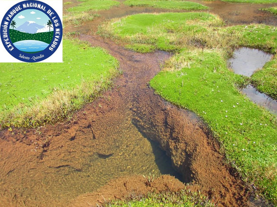 Cocora Travel-萨伦托必去景点