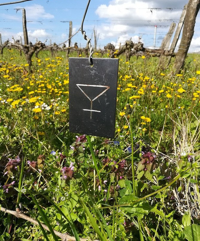 Domaine Sauvète景点图片