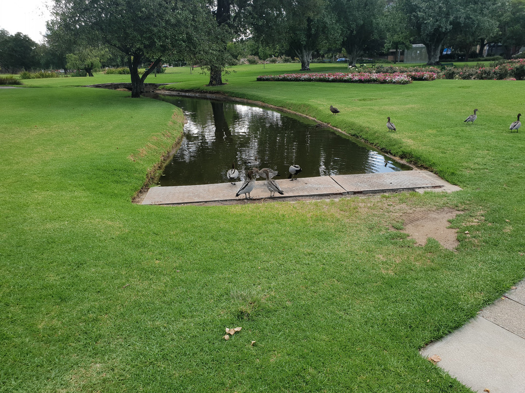 Veale Gardens景点图片