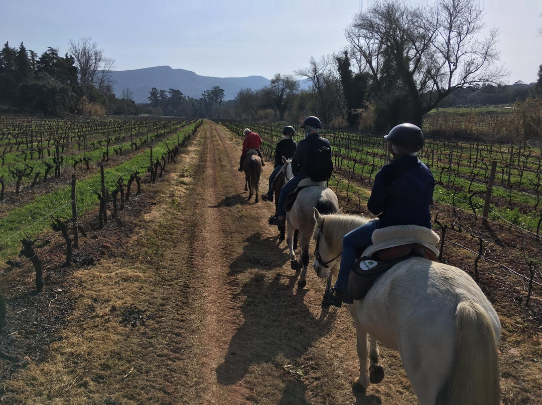 Watermelon Experiences Lisbon - Portugal-阿尔马达必去景点