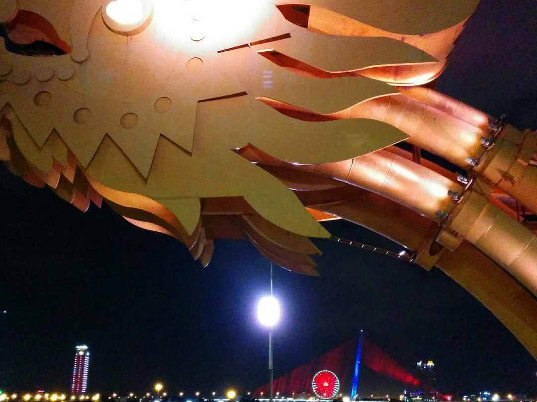 Tran Thi Ly Bridge-岘港必去景点