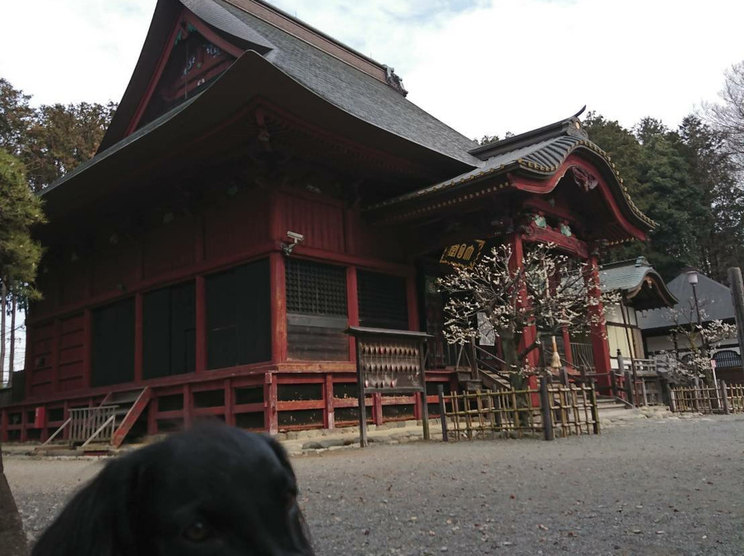 Hiyoshi Shrine景点图片