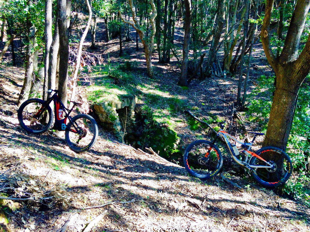 Girly MTB Love景点图片