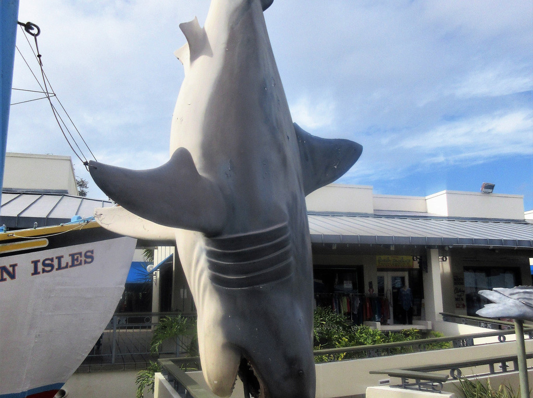 Sponge Exchange-塔彭斯普林斯必去景点