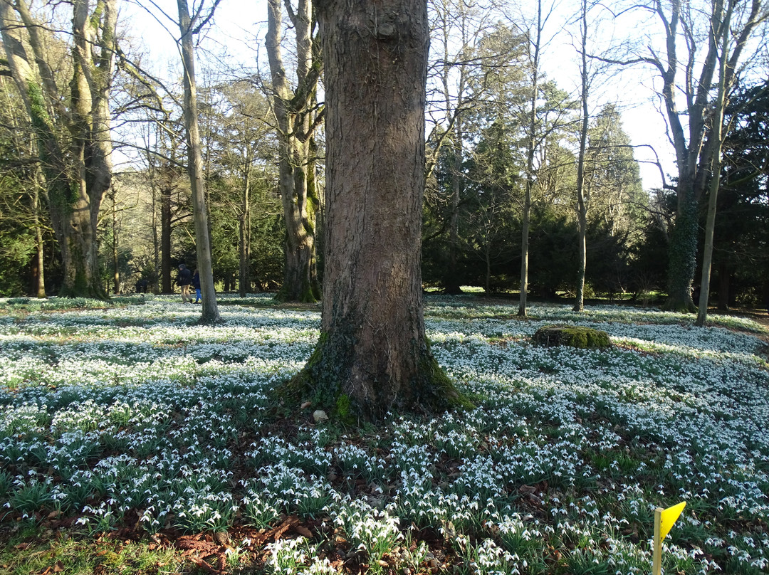 Colesbourne Park景点图片