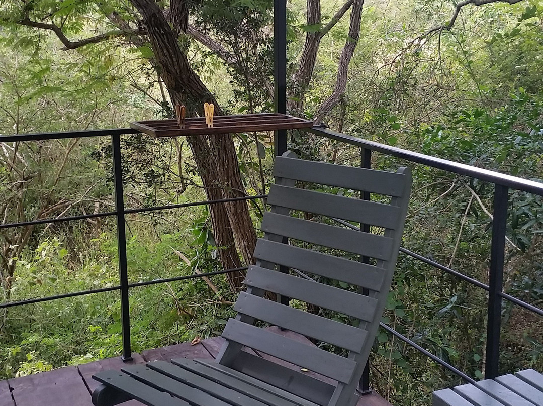 The Backwaters主图