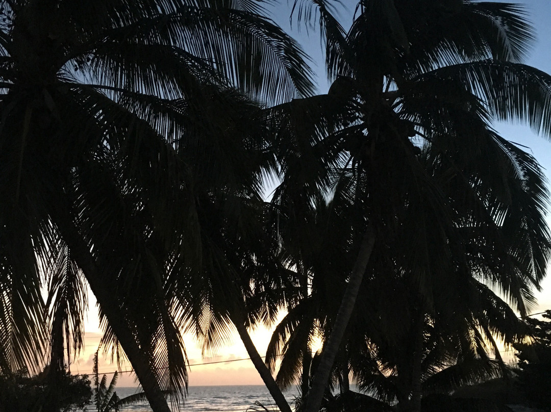 Orange Creek Inn主图