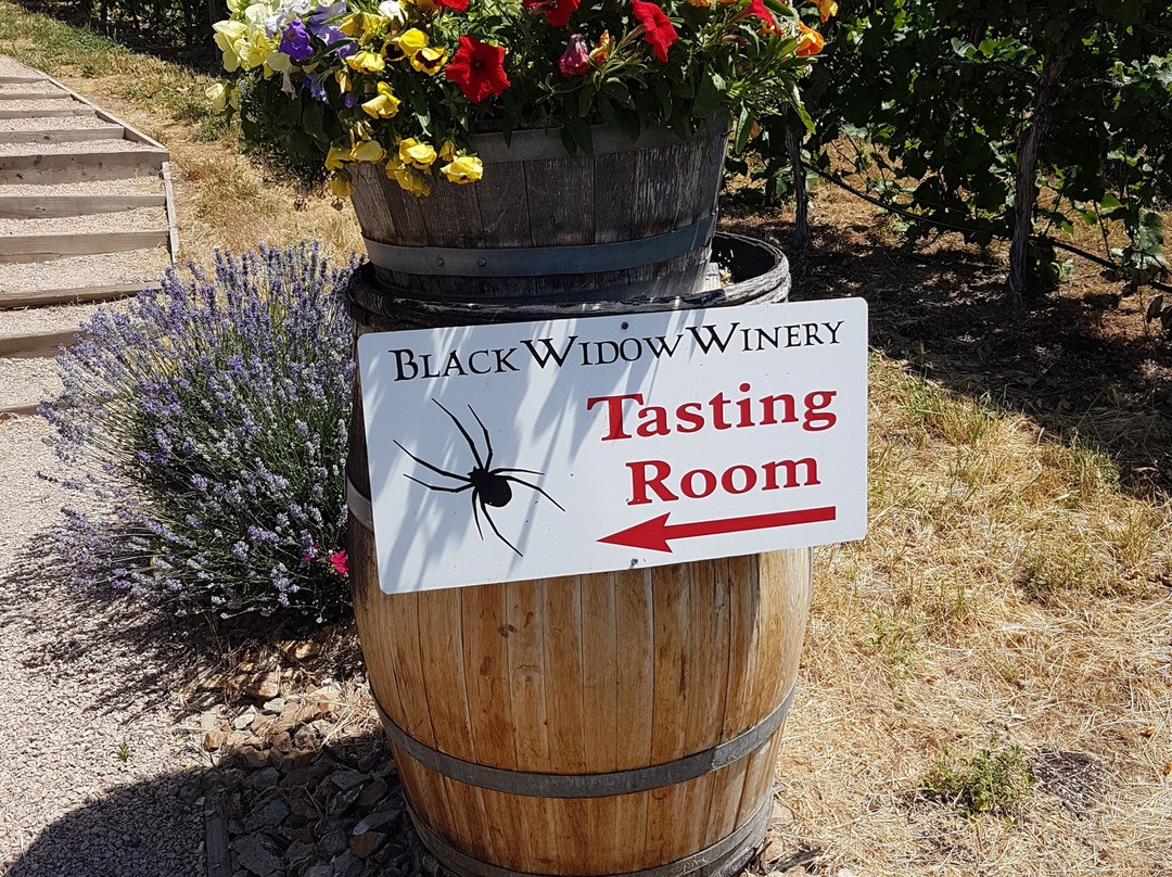 Black Widow Winery景点图片