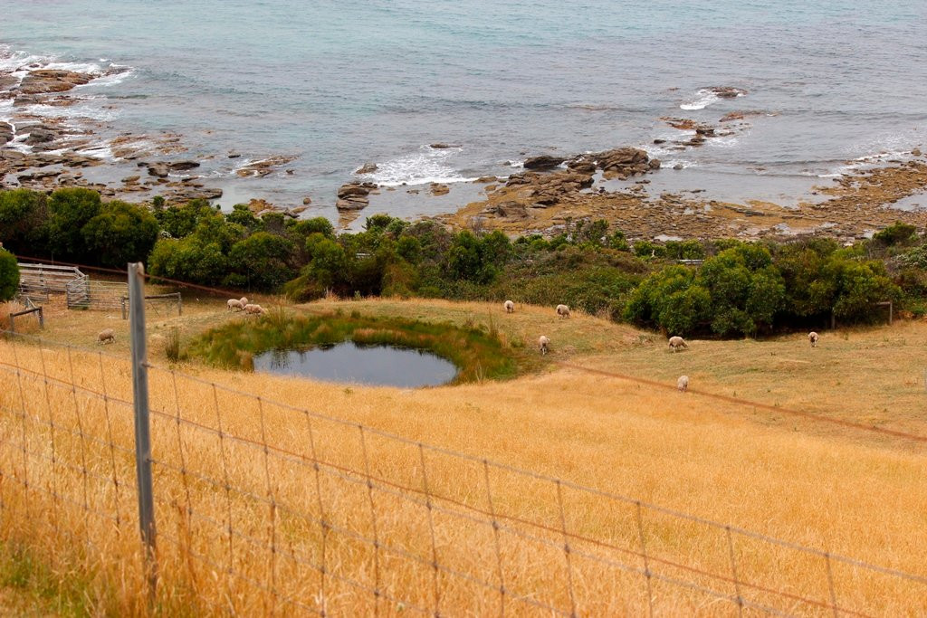 Points South By The Sea主图