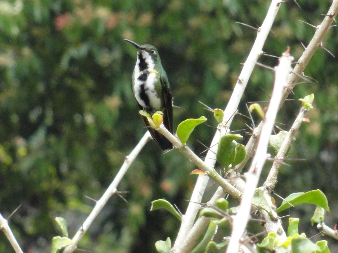 Jardín Botánico del Quindío-Calarca必去景点