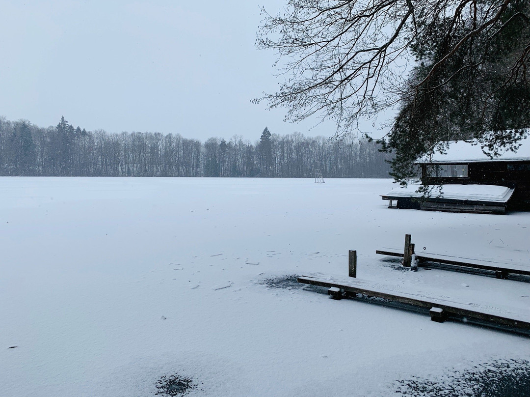 Steinsee-Moosach必去景点