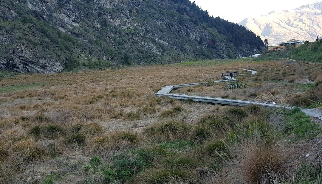 Matakauri Park-皇后镇必去景点