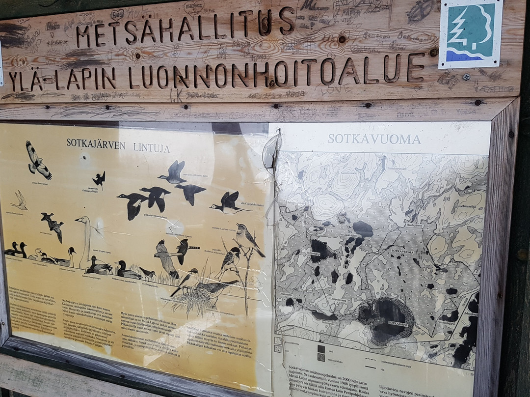 Sotkajarvi bird watching tower-Enontekiö必去景点