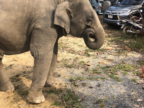 Koh Samui Tour & Transportation-查汶海滩必去景点