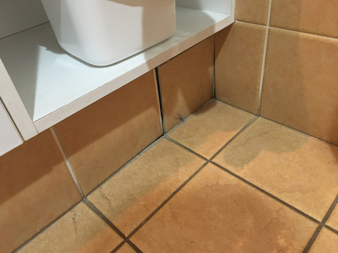 Macquarie Barracks Motor Inn主图