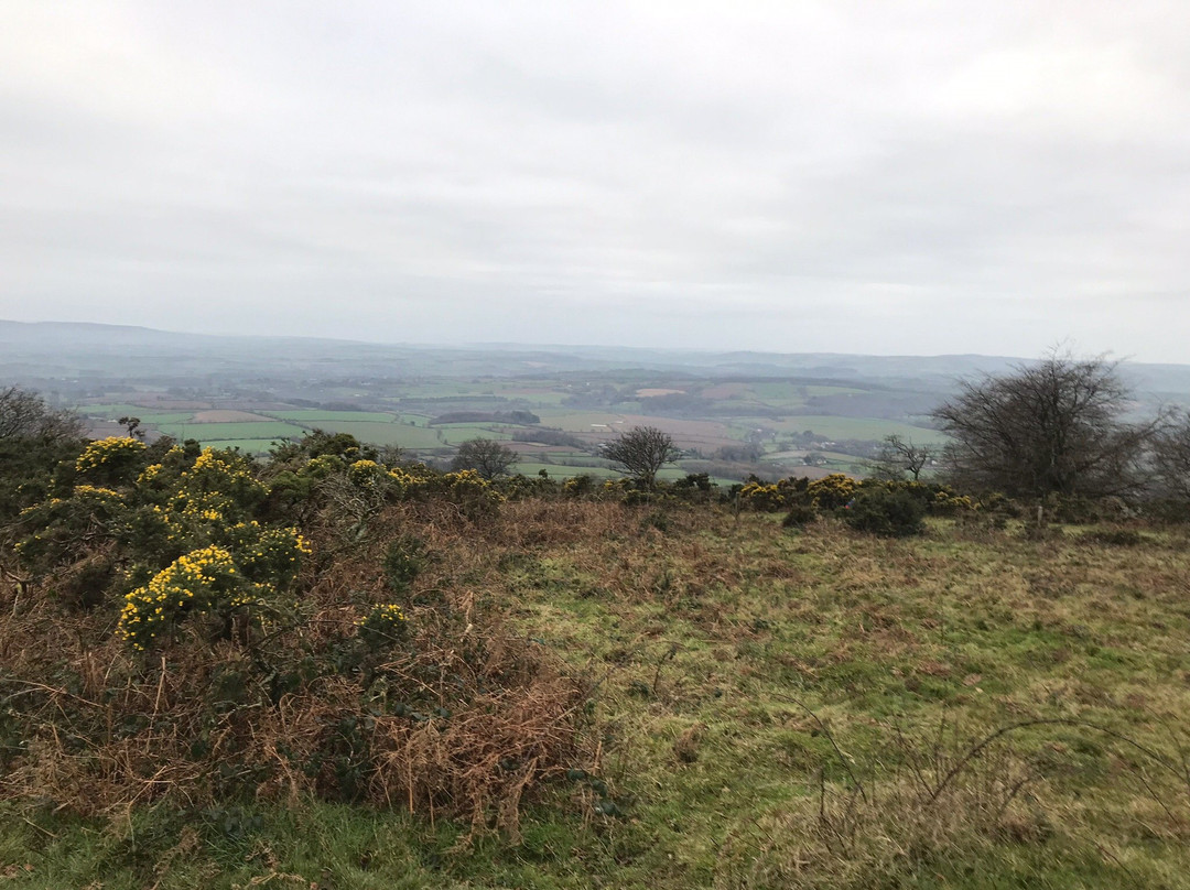 Quantock Trekking景点图片