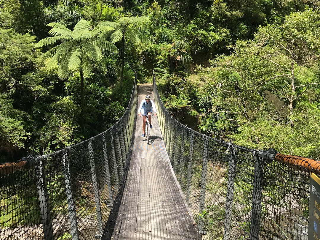 Motu Trails景点图片