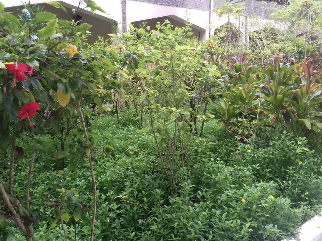 比亚户岛度假村主图