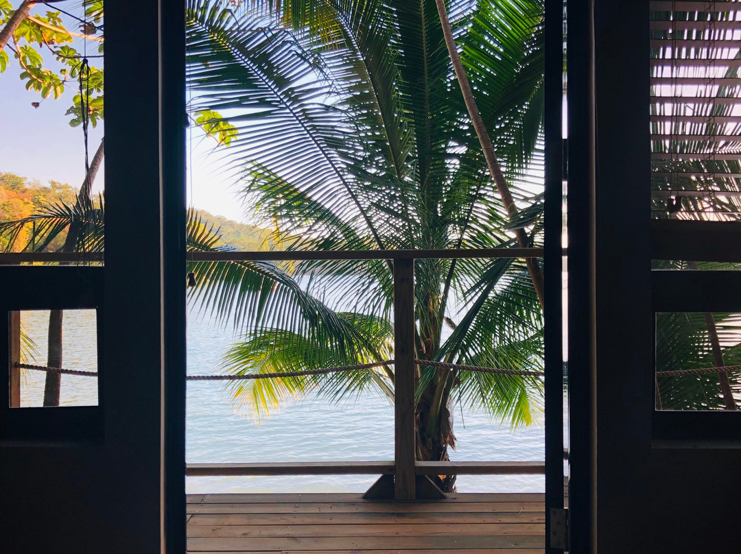 Selva Terra Island Resort主图