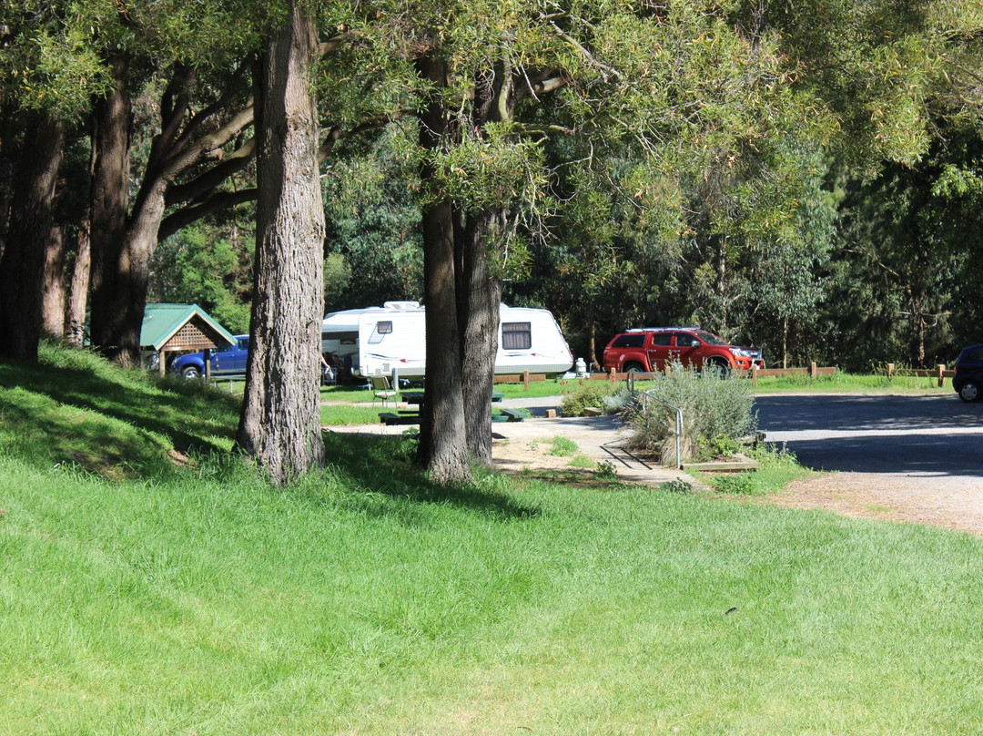 Franklin River Reserve-Toora必去景点