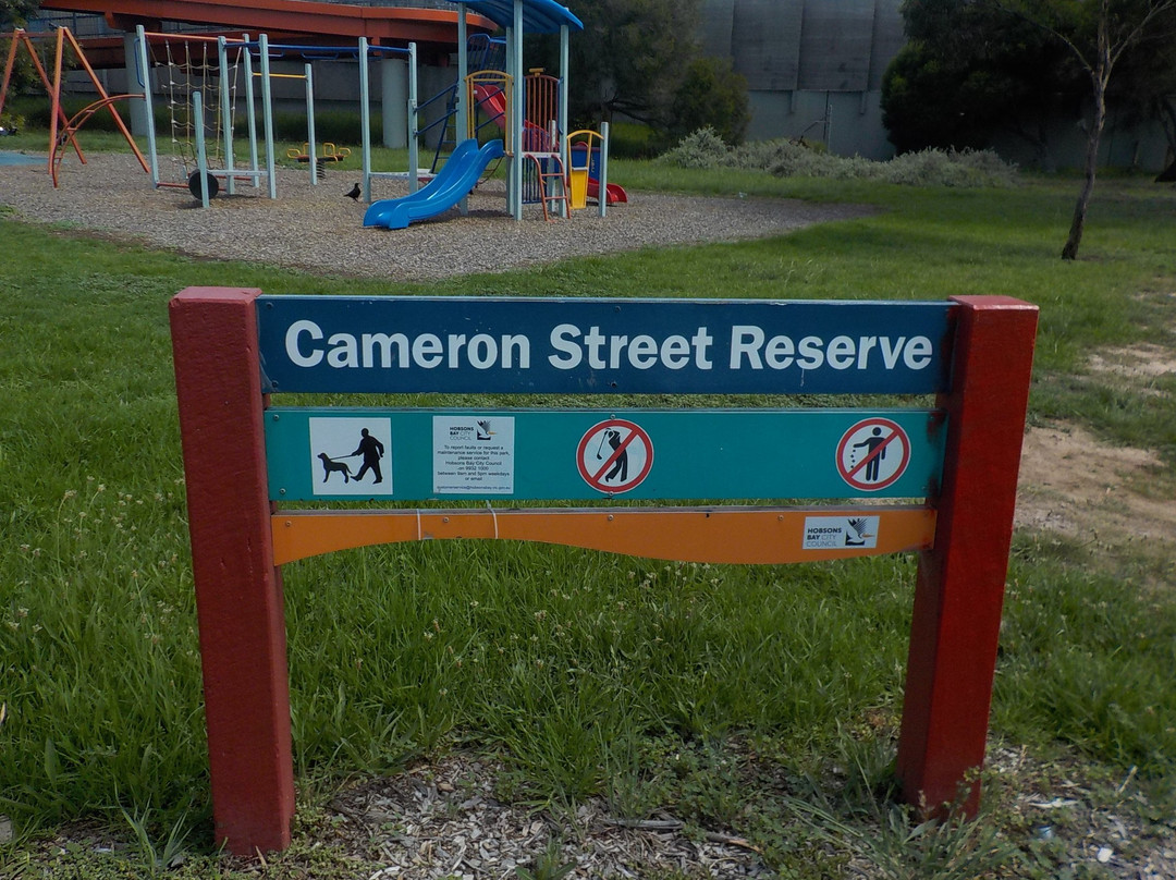 Cameron Street Reserve景点图片