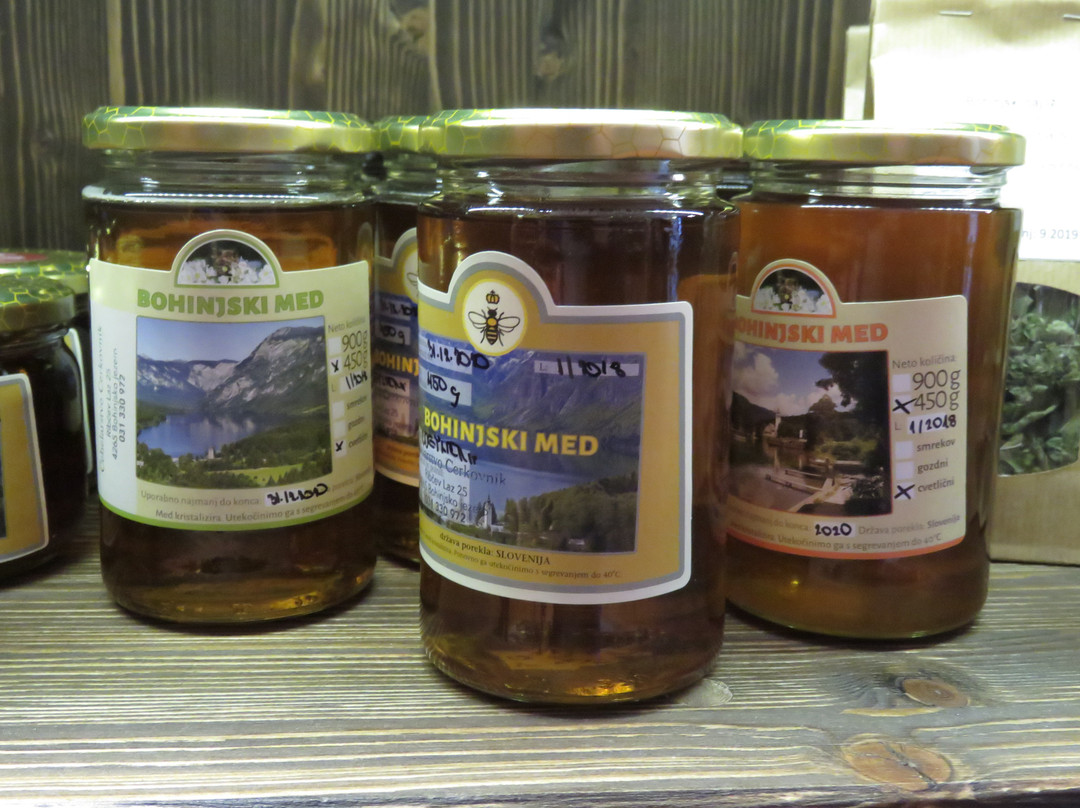 Info Center Bohinj-博希尼湖必去景点