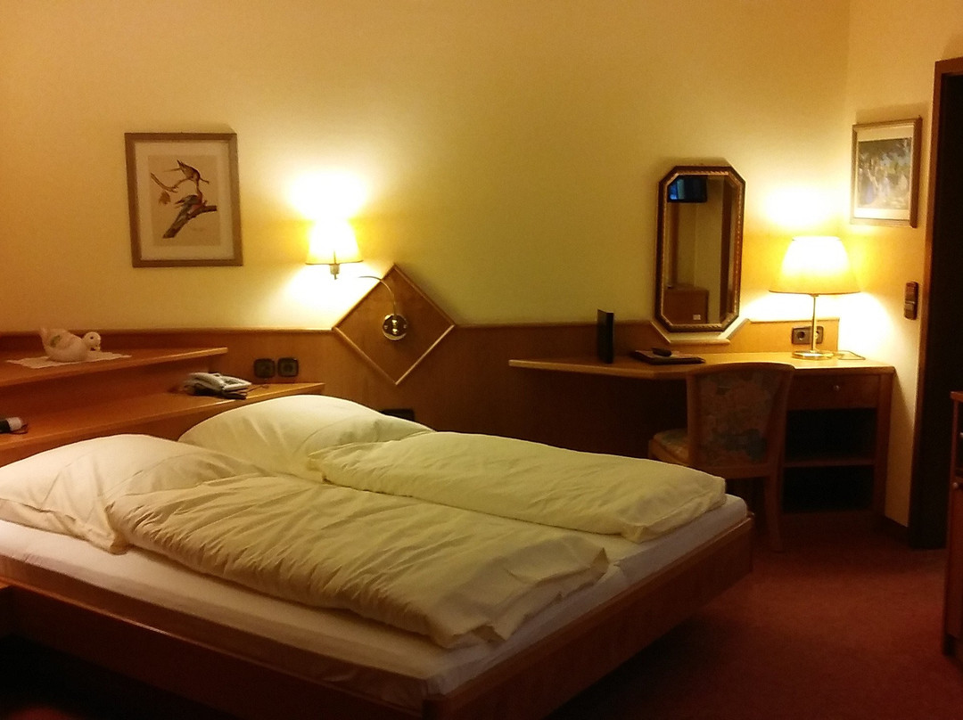 Hotel Rebstock Bühlertal主图