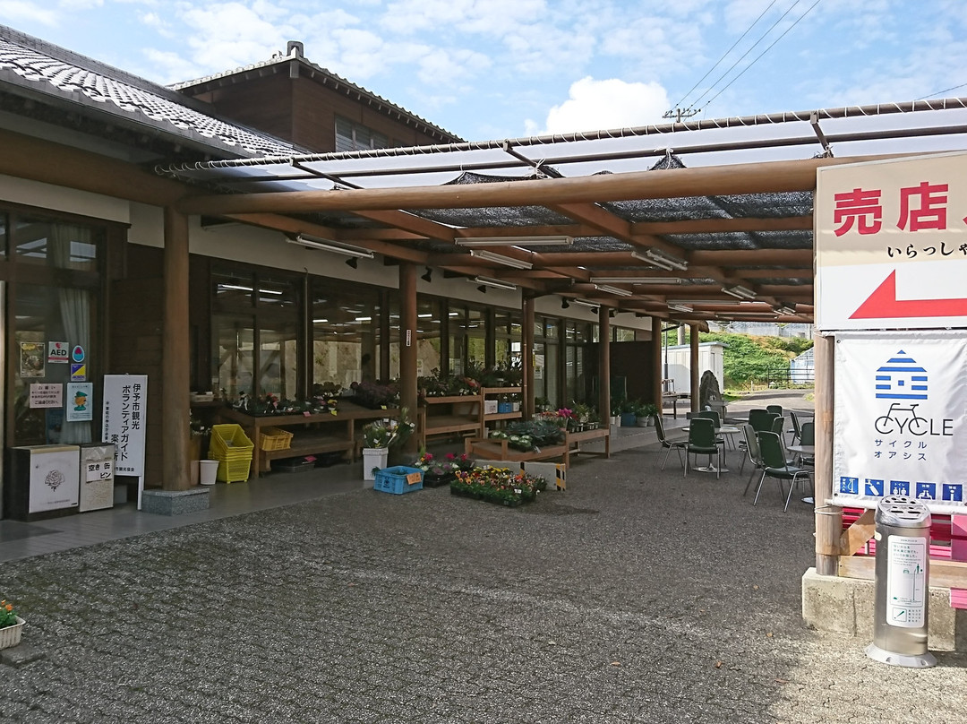 Michi-no-Eki Nakayama-伊矛市必去景点