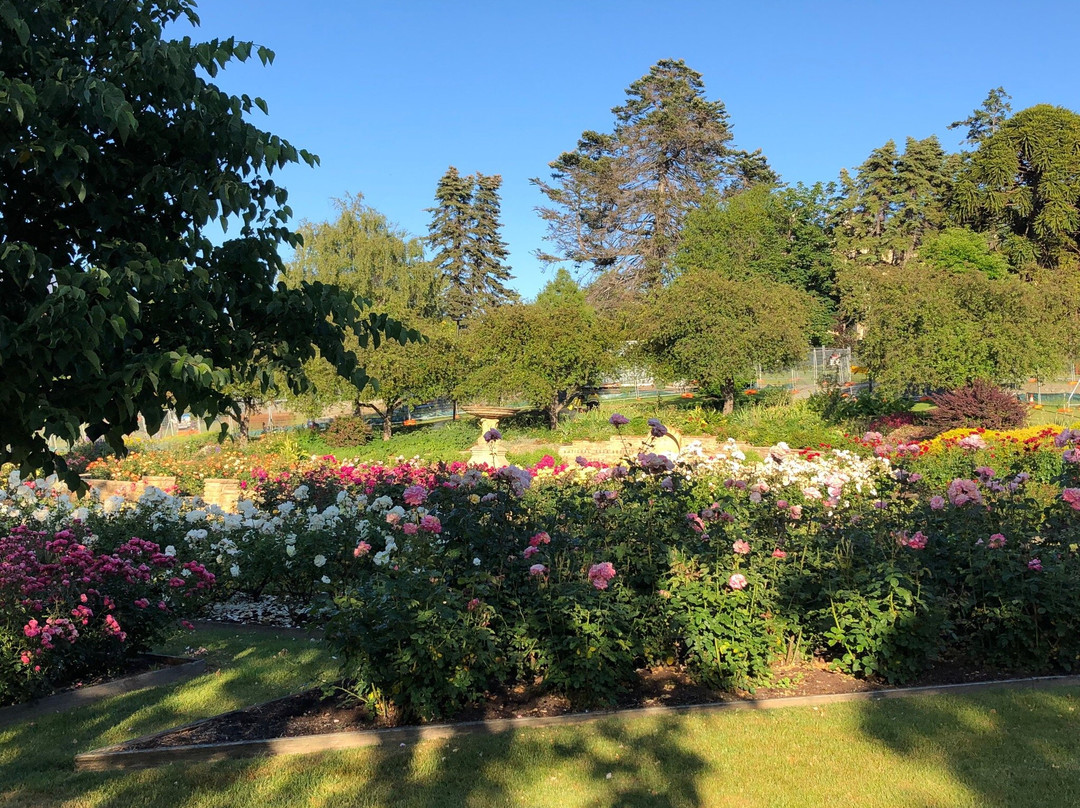 University Rose Garden景点图片