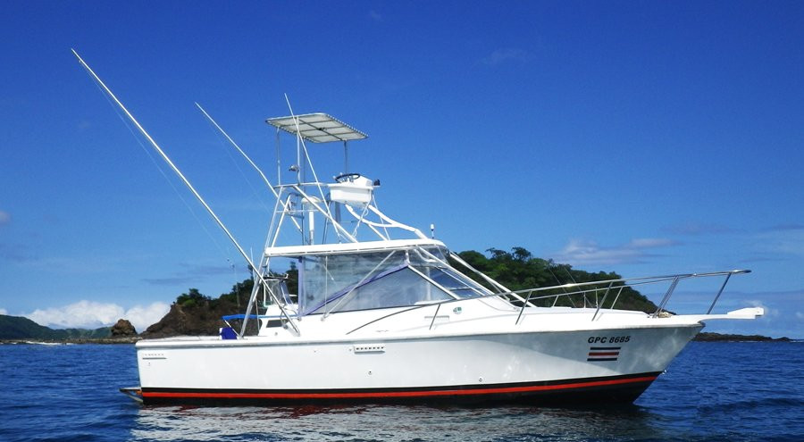 Tuna Fish Sportfishing景点图片