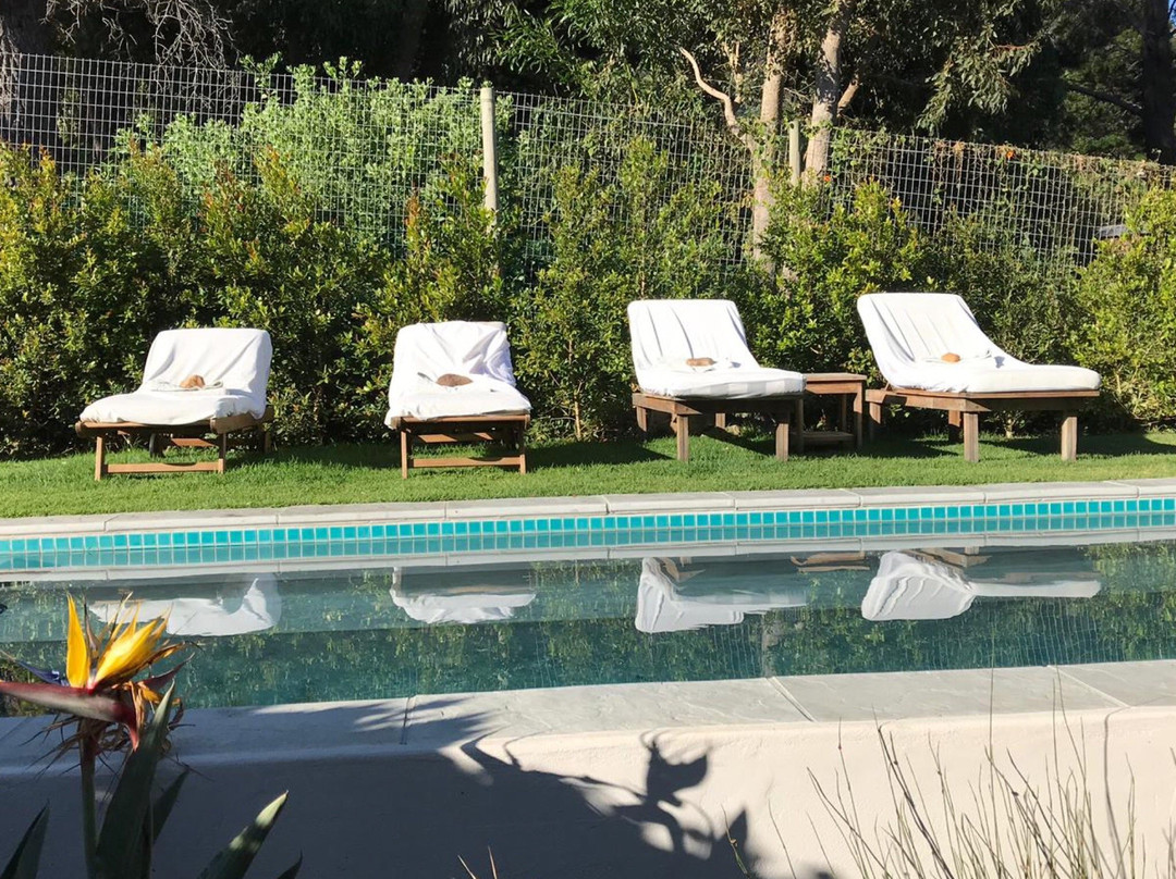 The Owl House Hout Bay主图