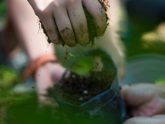 Plantzania-Rantau必去景点