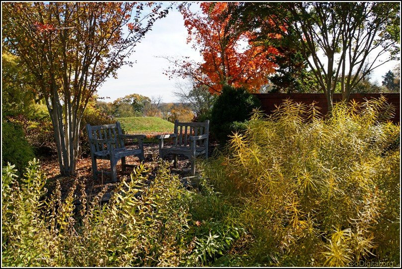 River Farm-亚历山德里亚必去景点