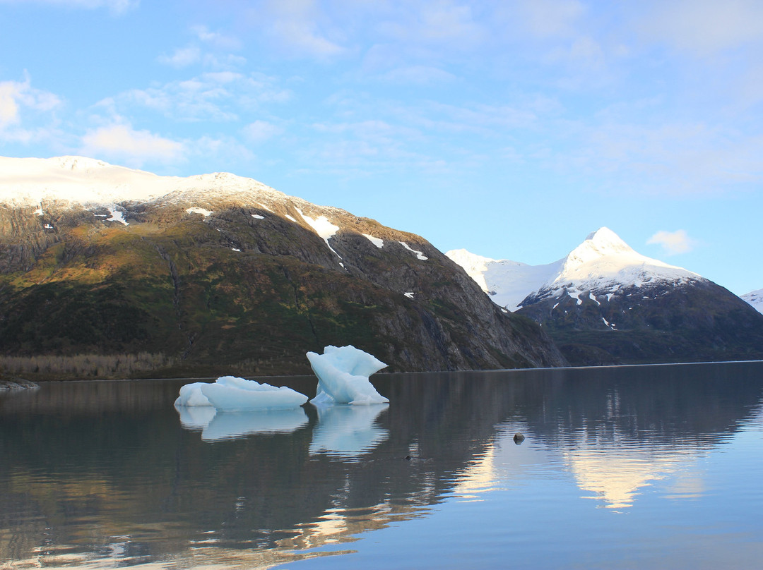 Begich Boggs Visitor Center景点图片