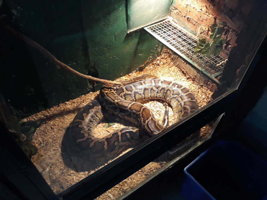 Aquarium景点图片
