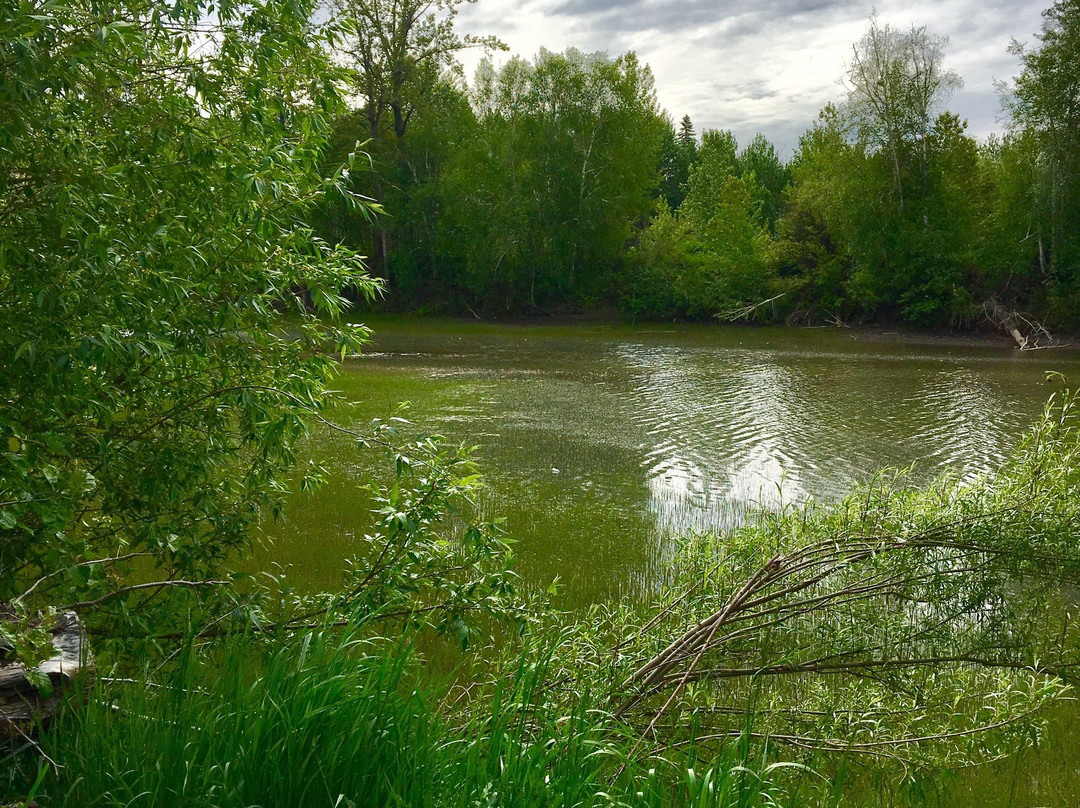 Peace Island Park-Taylor必去景点